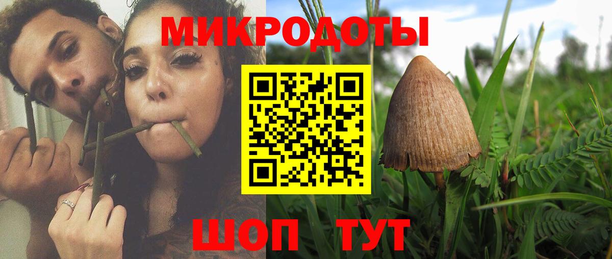 Псилоцибиновые грибы ЛСД Кумертау